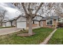 Well-maintained home with brick accents, green lawn, and mature tree in the front yard at 45 Pierce St, Lakewood, CO 80226