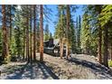 Secluded cabin in the woods featuring log construction and a partially cleared lot at 46 Silver Creek Rd, Idaho Springs, CO 80452