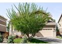 Charming home with a well-kept lawn and mature landscaping including a large tree, offering great curb appeal at 9481 Longstone Dr, Parker, CO 80134
