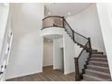 Open staircase with a metal railing and carpeted steps at 4993 Hickory Oaks St, Castle Rock, CO 80104