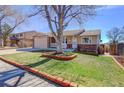Landscaped front yard featuring a mature tree, complemented by brick edging and providing curb appeal to the property at 10142 Josephine St, Thornton, CO 80229
