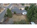 Overhead shot of a home with a fenced backyard, complemented by lush trees and surrounding neighborhood at 3201 S Albion St, Denver, CO 80222