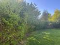 View of the lush, green backyard bordered by mature trees, offering privacy and a natural setting at 3201 S Albion St, Denver, CO 80222