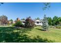 The rear of this ranch is surrounded by a spacious, well-maintained lawn and mature trees at 2125 Rangeview Ln, Longmont, CO 80501