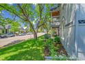 Street view featuring beautiful homes with manicured lawns, mature trees, and a peaceful neighborhood ambiance at 444 S Pearl St, Denver, CO 80209