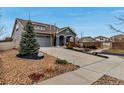 Inviting home featuring a well-manicured lawn, concrete driveway, mature tree, and covered front porch at 5519 Genoa St, Denver, CO 80249