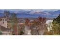 Scenic mountain view from property showcasing snow-capped peaks and verdant trees at 4810 Mountain Gold Run, Broomfield, CO 80023