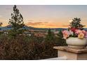 Scenic view of a sunset over rolling hills, framed by lush greenery and a colorful floral arrangement at 6948 Fox Cir, Larkspur, CO 80118