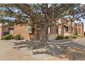 Exterior of the townhome with a mature tree in the front yard, brown wood siding, and stone accents at 2569 Devonshire Ct # 72, Denver, CO 80229
