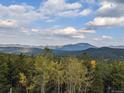 Breathtaking mountain view with lush green trees under a beautiful blue sky with clouds at 8691 S Warhawk Rd, Conifer, CO 80433