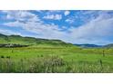 Beautiful backyard view showcasing the green grass and mountain views on a sunny day at 5603 Van Bibber Ct, Golden, CO 80403
