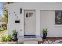 Close-up of a home's front door and porch with decorative plants and modern fixtures at 903 Poplar St, Denver, CO 80220