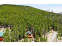 Scenic aerial view featuring the charming cabin situated on a tree-covered hillside, offering a secluded retreat at 489 Harris Dr, Idaho Springs, CO 80452