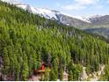 Secluded cabin, surrounded by dense trees with snow-capped mountains in the distance, offers a peaceful escape at 489 Harris Dr, Idaho Springs, CO 80452
