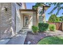 Close-up view of front entrance featuring a decorative glass door and manicured landscaping at 15941 Bluebonnet Dr, Parker, CO 80134