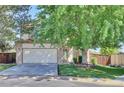 Charming front exterior featuring a lush lawn, mature tree, and an attached two-car garage at 15941 Bluebonnet Dr, Parker, CO 80134