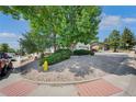 Well manicured front yard featuring mature trees and a yellow fire hydrant at 9227 W 67Th Ave, Arvada, CO 80004