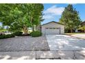 View of the detached two-car garage with white door and concrete driveway framed by mature tree at 9227 W 67Th Ave, Arvada, CO 80004