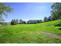 Expansive green space surrounding townhomes, offering a serene and natural environment at 6809 S Webster St # F, Littleton, CO 80128