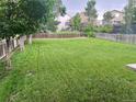 Spacious backyard featuring lush green grass, mature trees, and a wooden fence at 21767 Silver Meadow Ln, Parker, CO 80138