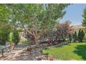 A lush backyard offers a serene retreat, complete with mature trees and rock landscaping at 8582 E 148Th Ln, Thornton, CO 80602