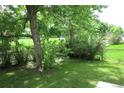 Private backyard with mature trees, lush lawn, and space for outdoor activities at 13168 W 62Nd Dr, Arvada, CO 80004