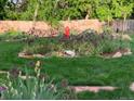 Lush backyard featuring green grass, mature plants, unique decor, and privacy at 6864 Balsam St, Arvada, CO 80004