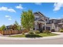 Beautiful two-story home with a green lawn, mature tree, and play structure in the background at 1114 Basalt Ridge Loop, Castle Rock, CO 80108