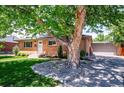 Brick home featuring a mature tree with rock landscaping and detached garage with driveway at 3145 W Farmdale Rd, Englewood, CO 80110