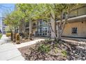 Building entrance with decorative trees, rocks, large windows and doors at 275 S Harrison St # 210, Denver, CO 80209