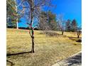 Scenic view of a community space featuring a grassy hill with trees and clear blue skies at 886 Summer Dr, Highlands Ranch, CO 80126