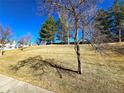 A community space featuring a grassy hill with trees and clear blue skies at 886 Summer Dr, Highlands Ranch, CO 80126