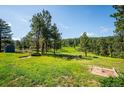 Expansive backyard offering serene natural views and outdoor features, perfect for enjoying outdoor activities at 29263 Sue Rd, Evergreen, CO 80439