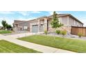 Landscaped front yard featuring lush green grass, rock accents, and a charming home exterior at 18071 Marsh Wren Ave, Parker, CO 80134