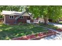 Inviting brick home featuring a lush green lawn and classic architectural details at 8438 Ames St, Arvada, CO 80003