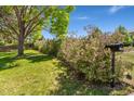 View of a mailbox and bushes with a lush lawn and mature tree providing a serene setting at 4390 S Sheridan Blvd, Littleton, CO 80123