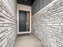Close-up of the home's front door, accentuated by stone detailing at 5681 Water Avens Dr, Castle Rock, CO 80104