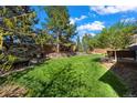 Well-maintained lawn and mature trees offers plenty of space in the backyard, plus a seating area at 1113 Southbury Pl, Highlands Ranch, CO 80129