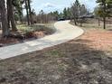 Winding driveway leading to a mountain home surrounded by mature trees and natural landscape at 8229 Red Rock Pl, Larkspur, CO 80118