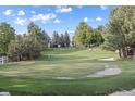 Landscaped golf green with a flag and sand trap, nestled among mature trees on a sunny day at 10145 Meadow Run, Parker, CO 80134