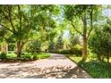 Beautiful curving driveway lined with lush greenery and mature trees at 1700 E Tufts Ave, Cherry Hills Village, CO 80113