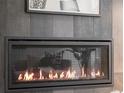 Contemporary fireplace insert with decorative tile surround at 3715 Kalamath St, Denver, CO 80211