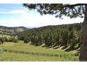 Lush green landscape with a fence, rolling hills, and green tree coverage that spreads throughout the scenery at 21849 Cabrini Blvd, Golden, CO 80401