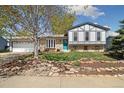 Charming two-story home with a manicured lawn, rock garden, blue front door, and a spacious two-car garage at 1309 Alexandria St, Lafayette, CO 80026