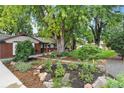 Beautifully landscaped front yard with mature trees and diverse plantings at 32 Skyline Dr, Wheat Ridge, CO 80215