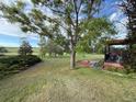 Expansive backyard with lush green grass and mature trees, offering a serene and private outdoor space at 17852 E Long Ave, Centennial, CO 80016