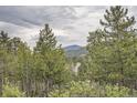 Scenic view of the mountains and surrounding trees from the property at 30839 Manitoba Dr, Evergreen, CO 80439