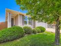 Well maintained front lawn and garden, with a view of the garage and front entrance at 448 Bonanza Dr, Erie, CO 80516