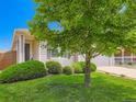 Beautiful home with manicured lawn, lush landscaping, and a tree in the front yard at 448 Bonanza Dr, Erie, CO 80516