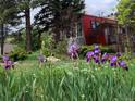 Charming rustic home with purple irises in the front yard at 12041 Twilight St, Longmont, CO 80503